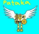 pataka.jpg