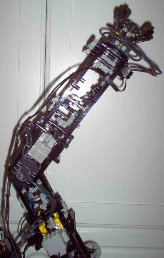 arm05.jpg