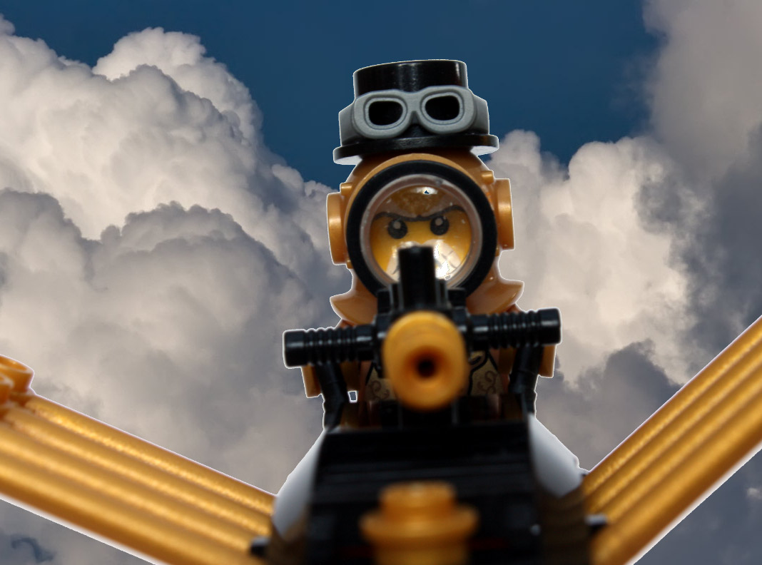 antipigeon4.jpg