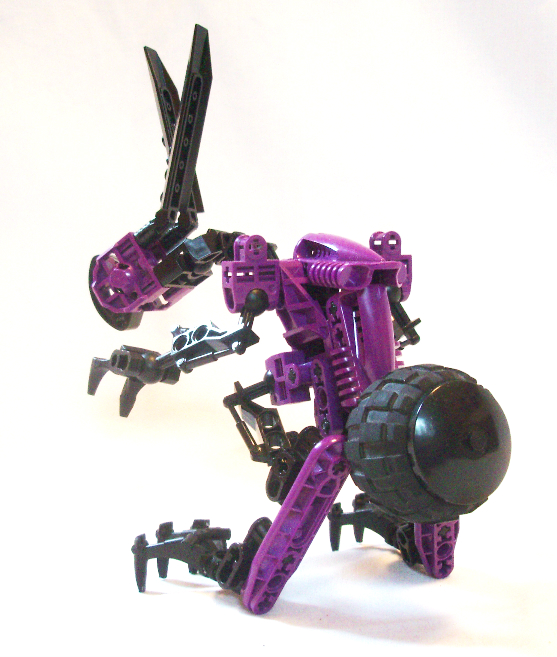 bunnyraptor2.jpg
