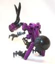 bunnyraptor2.jpg