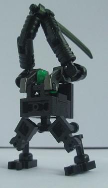 blackfrog1.jpg
