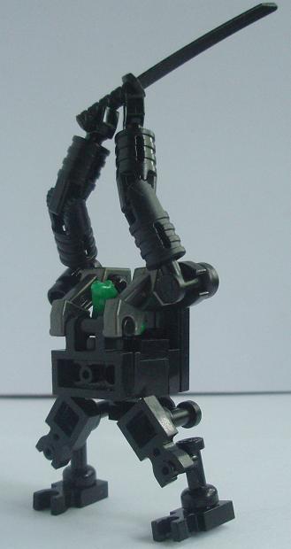 blackfrog2.jpg