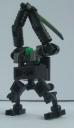 blackfrog1.jpg