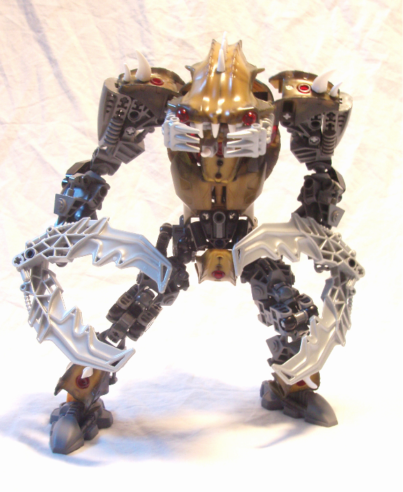 carapax1.jpg