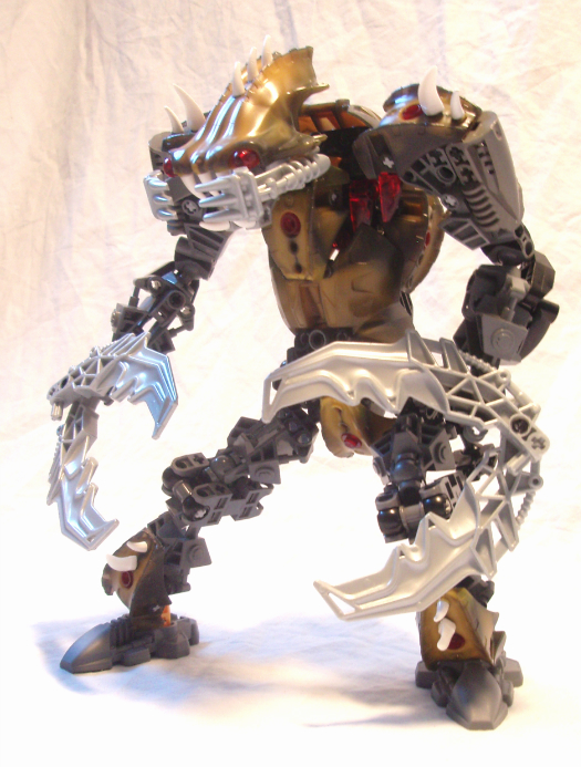 carapax2.jpg