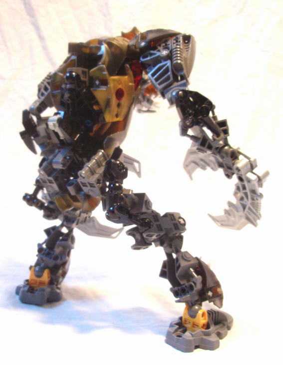 carapax3.jpg