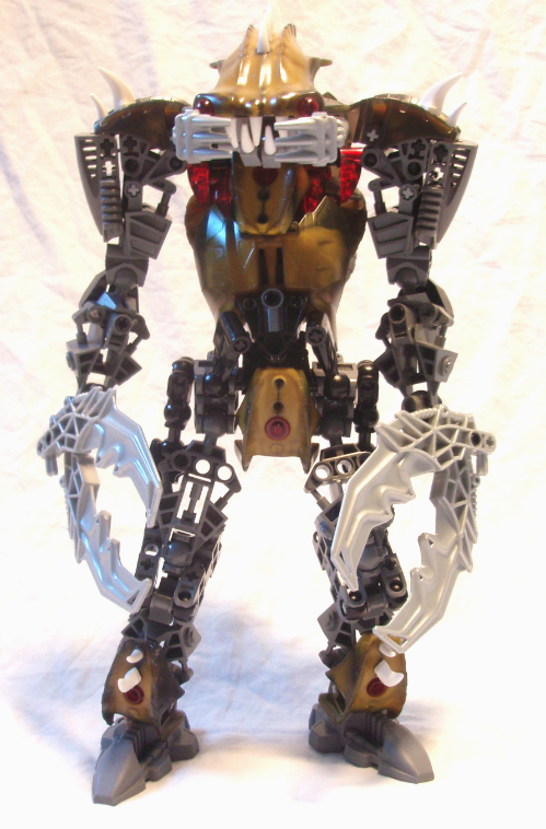 carapax4.jpg