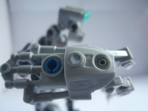 sloth1.jpg