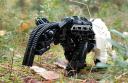 Tapir