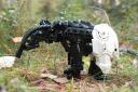 tapir6.jpg