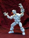 snou1.jpg