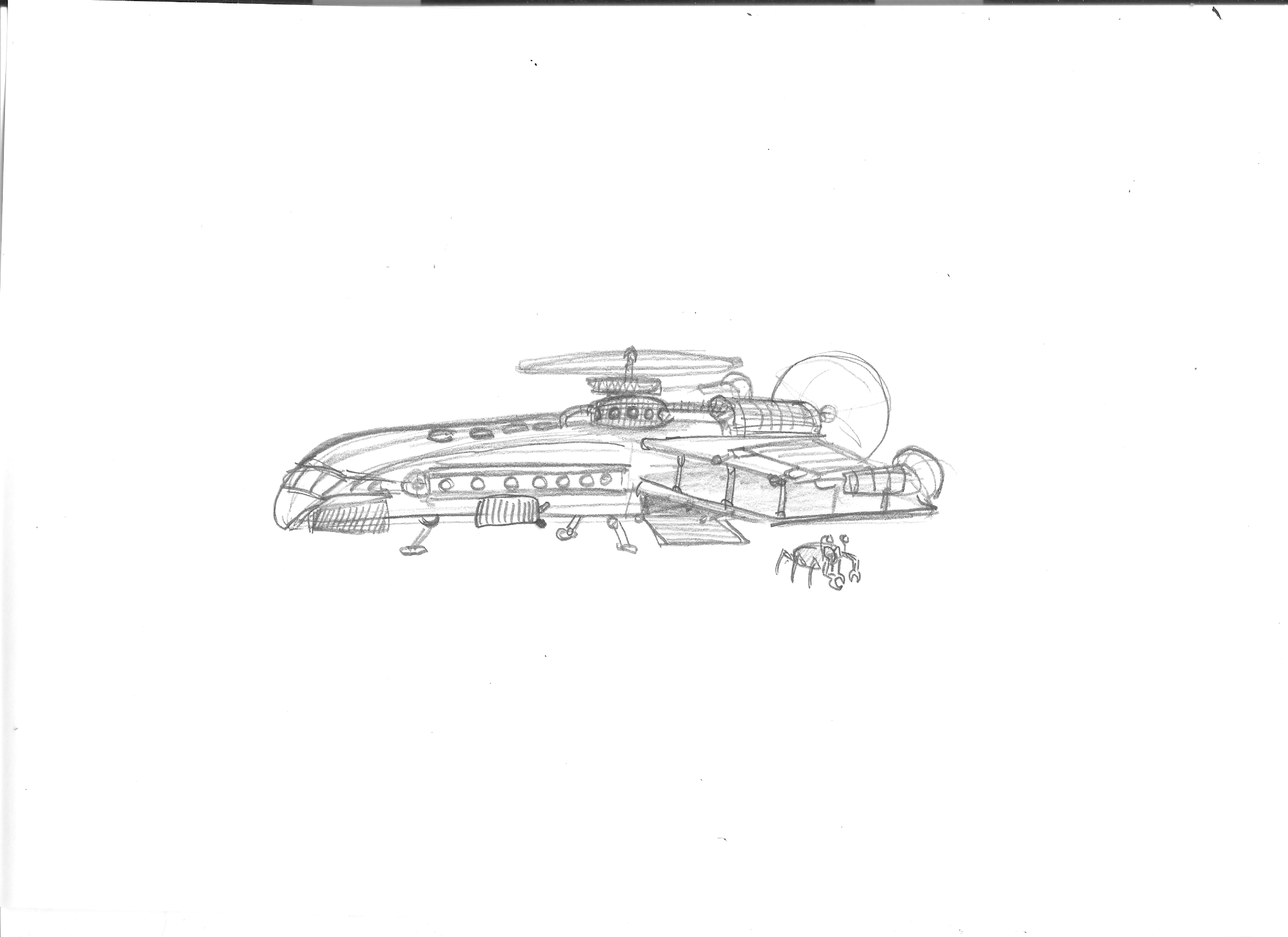 toranga2.png