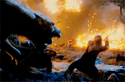 tumblr_nh05jlgdlt1rp382io7_250.gif