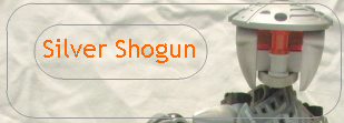 ssban1.jpg
