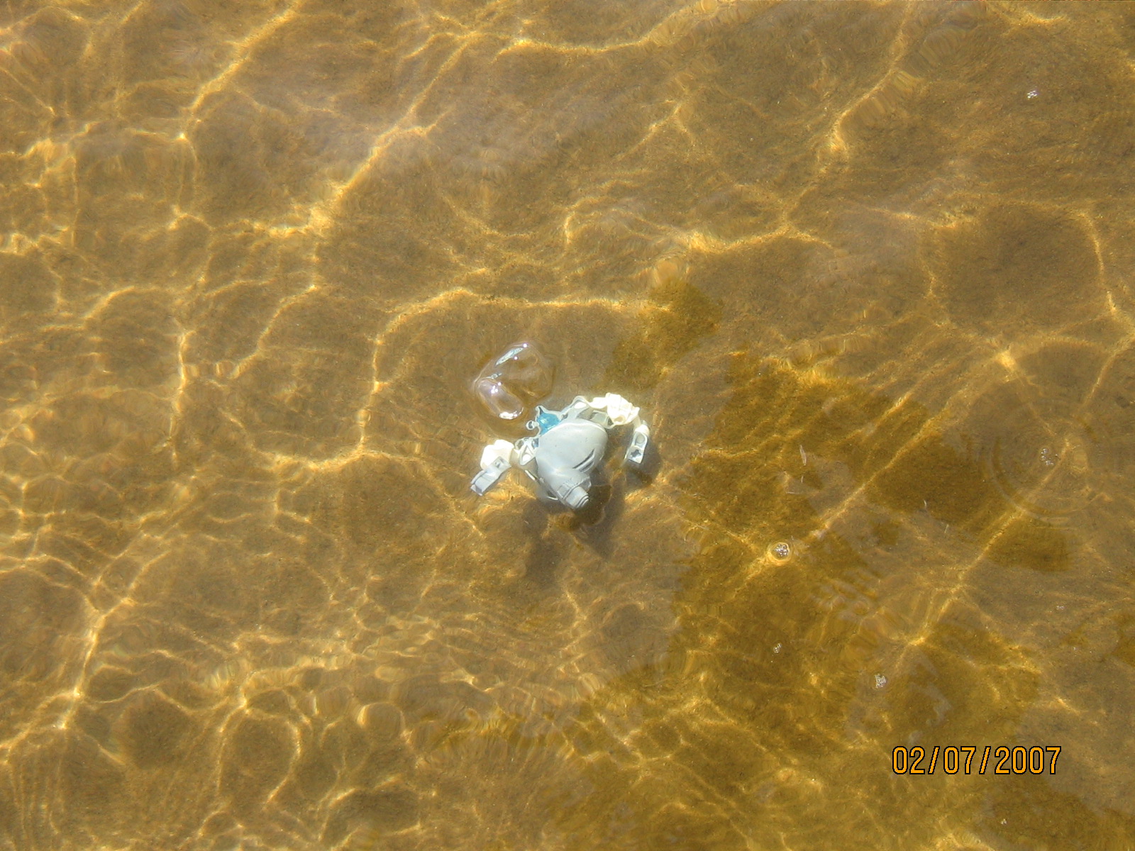 img_0372.jpg