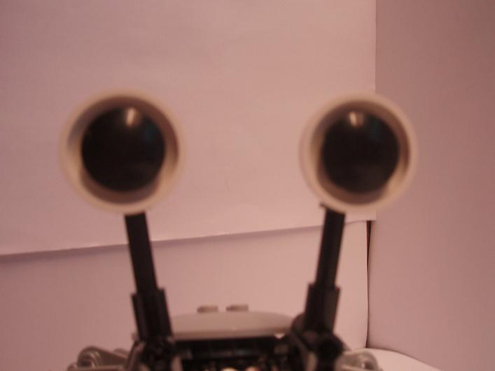 nopoeyes.jpg