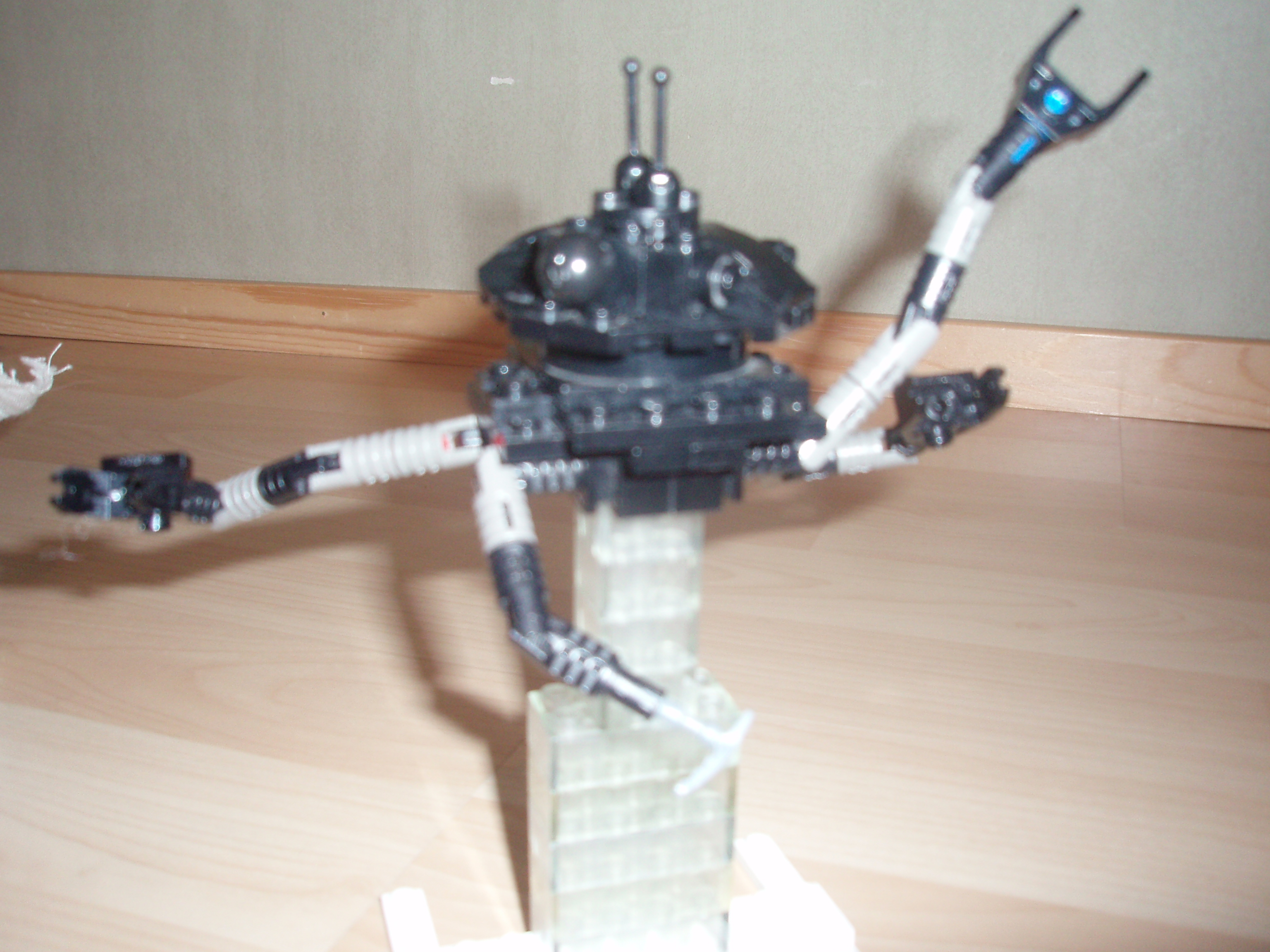pa200776.jpg