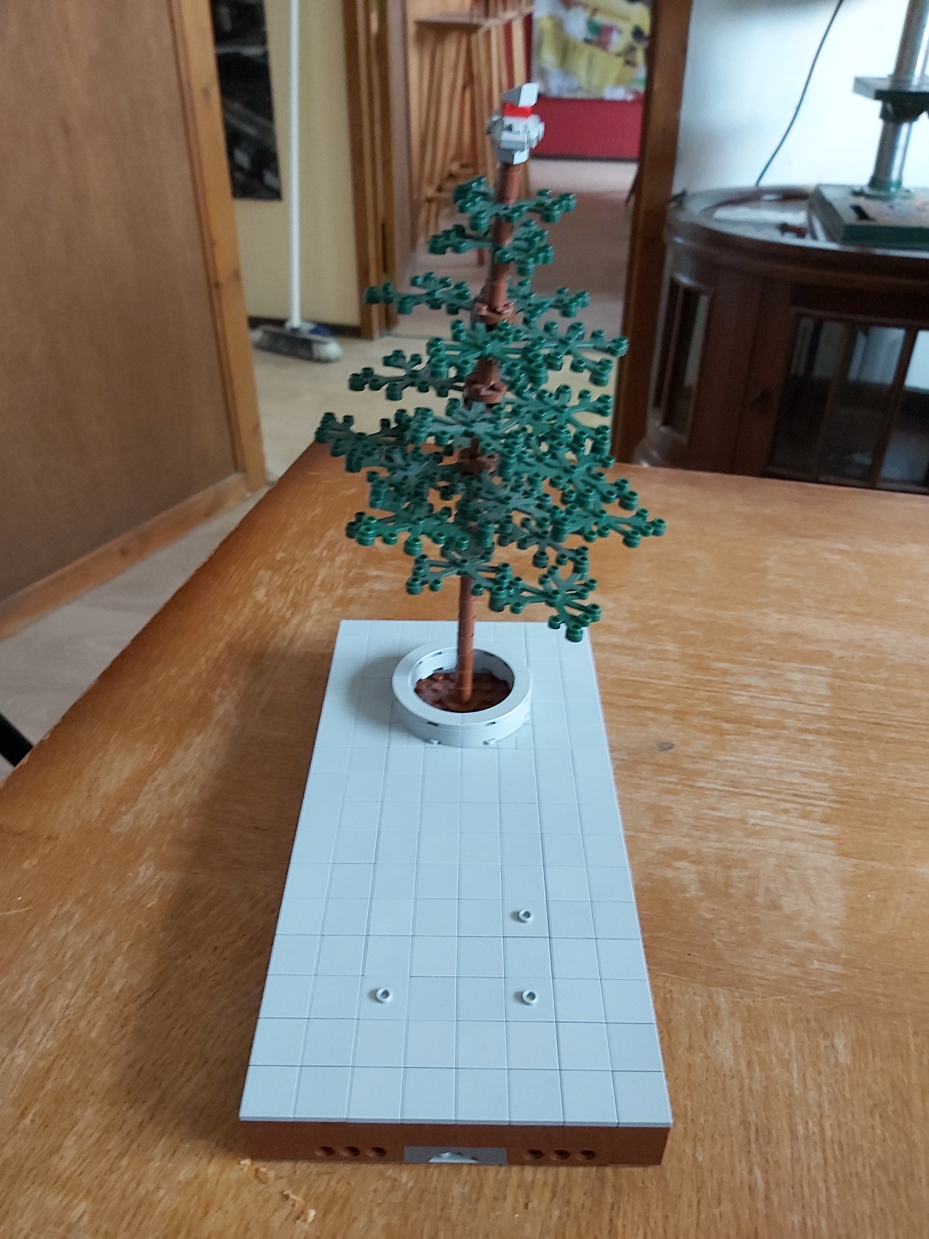 20220924_162810.jpg