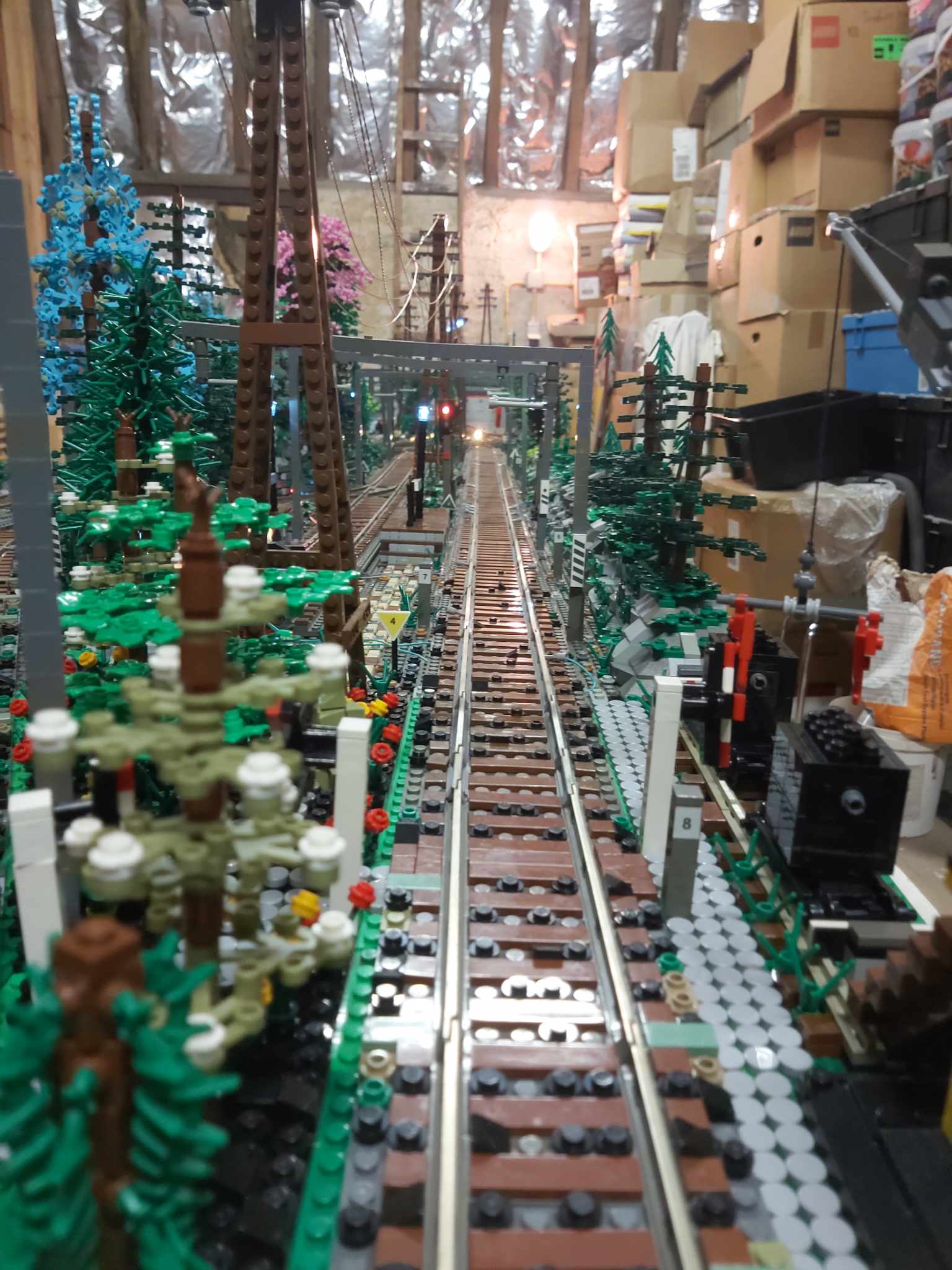 394305647_786214846591684_5366998546891201667_n.jpg