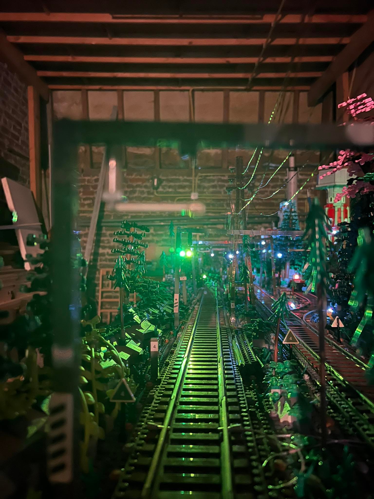394452096_786215339924968_5255143132137780979_n.jpg