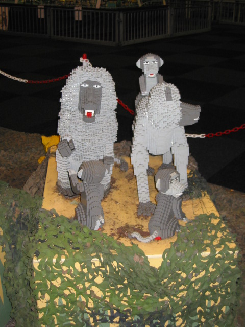 img_0021.jpg