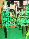 img_0051.jpg