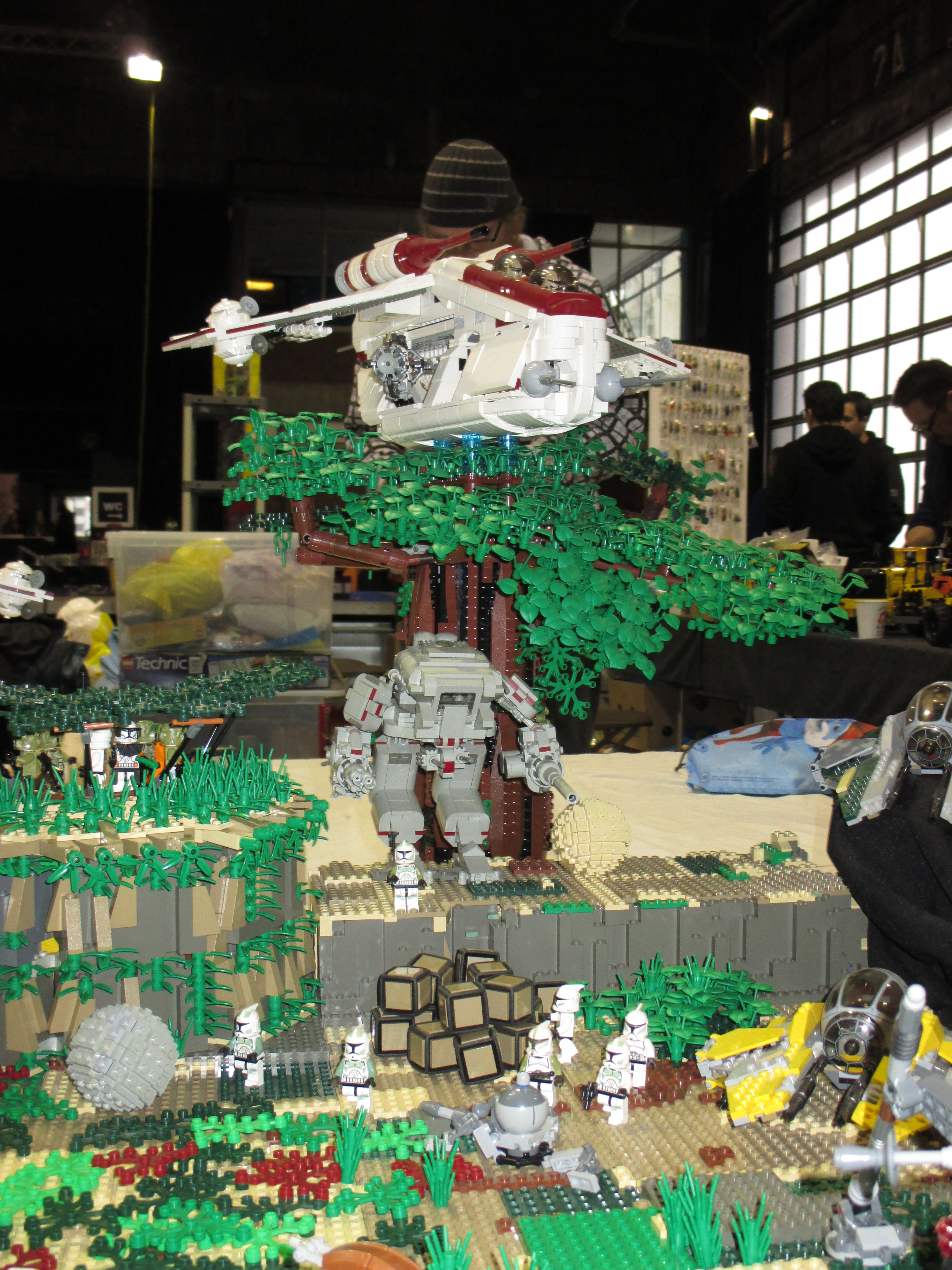 img_0239.jpg