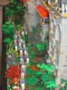 img_0174.jpg