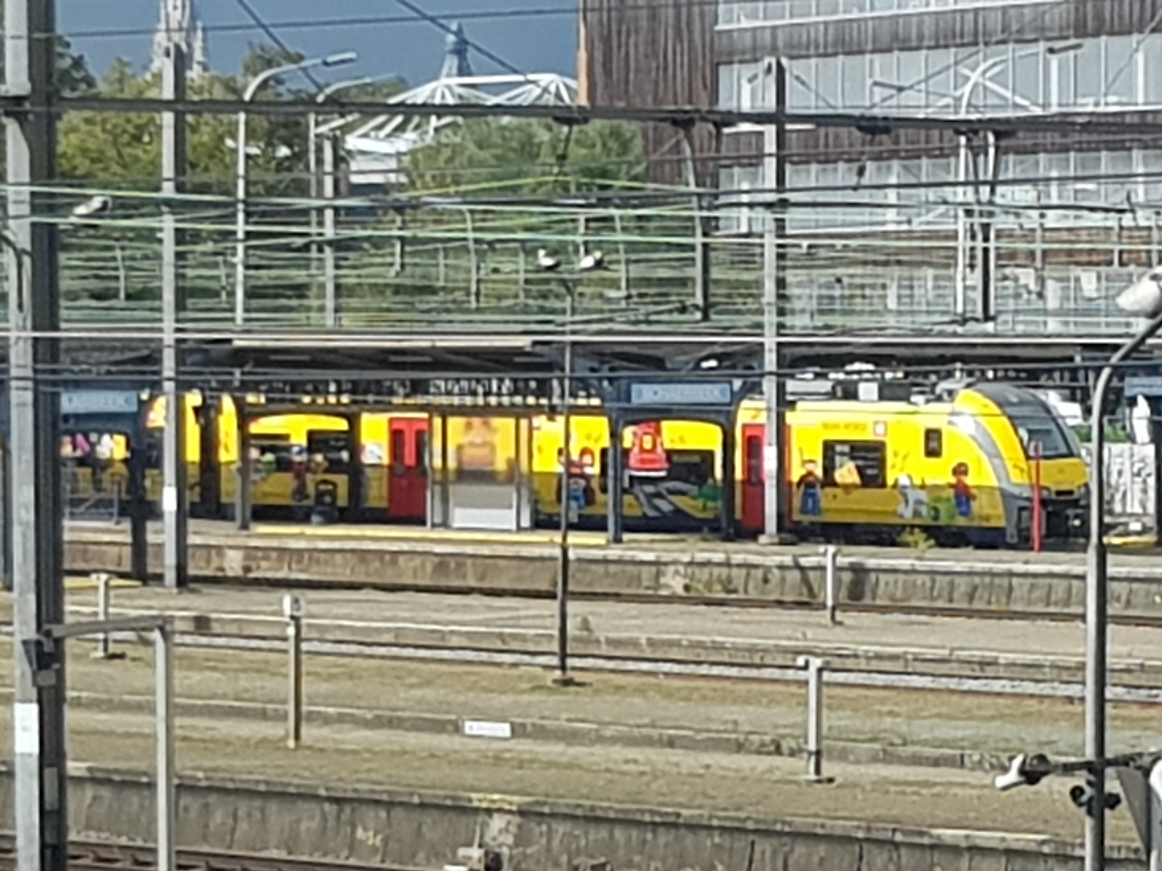 20181001_124945.jpg
