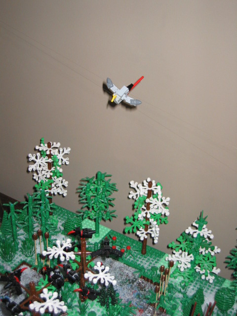 img_0262.jpg