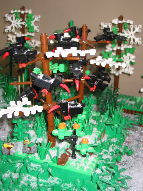 img_0364.jpg