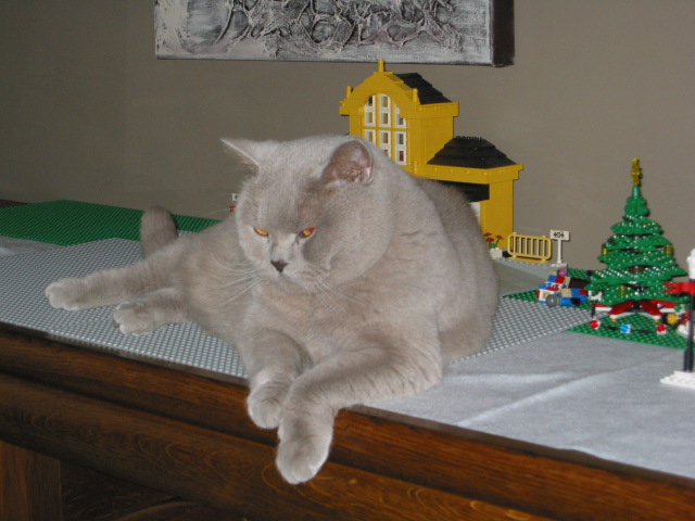 img_0037.jpg