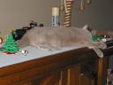 img_0046.jpg
