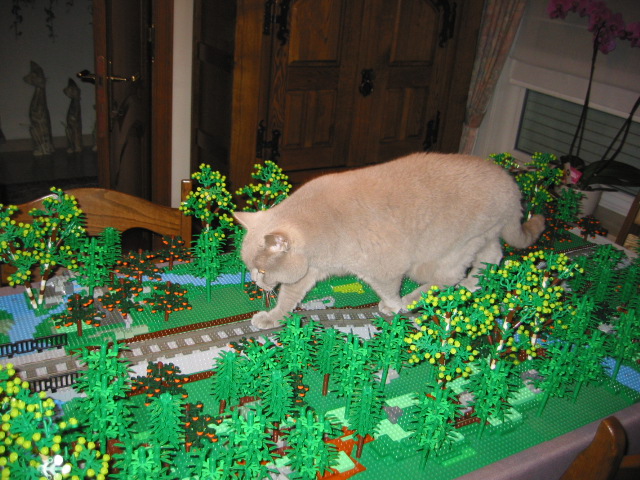 img_0070.jpg