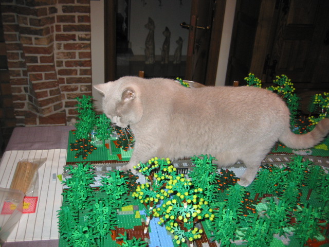 img_0071.jpg