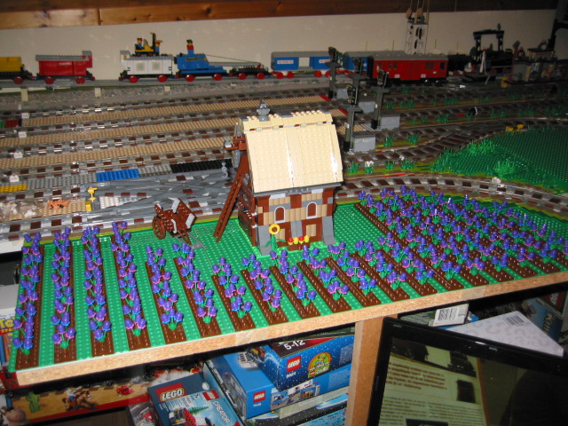 131.jpg