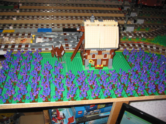 135.jpg