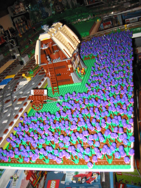 136.jpg