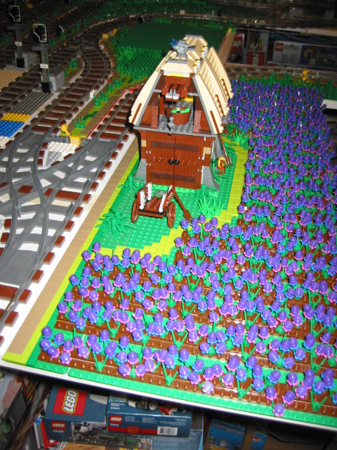 137.jpg