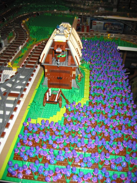 138.jpg