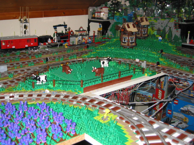 141.jpg