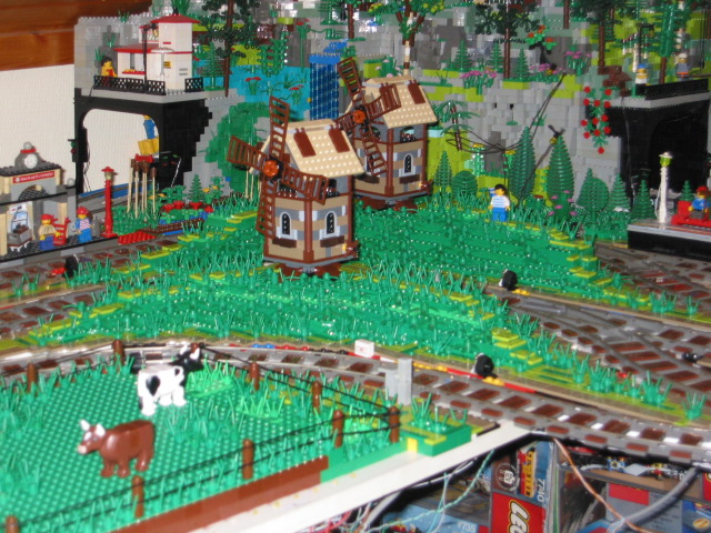 142.jpg