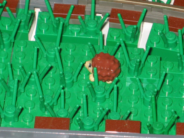 118.jpg