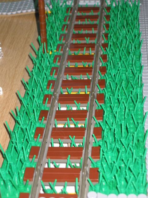 55.jpg
