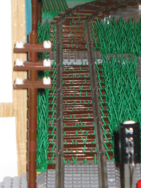 65.jpg
