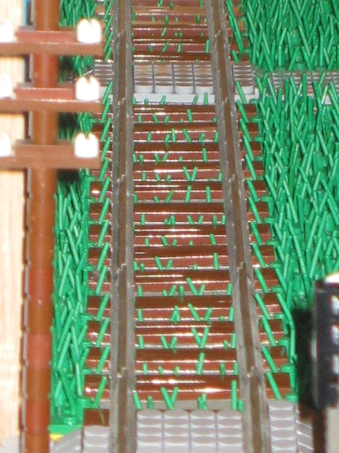 66.jpg