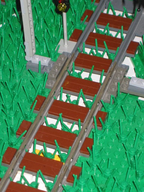 79.jpg