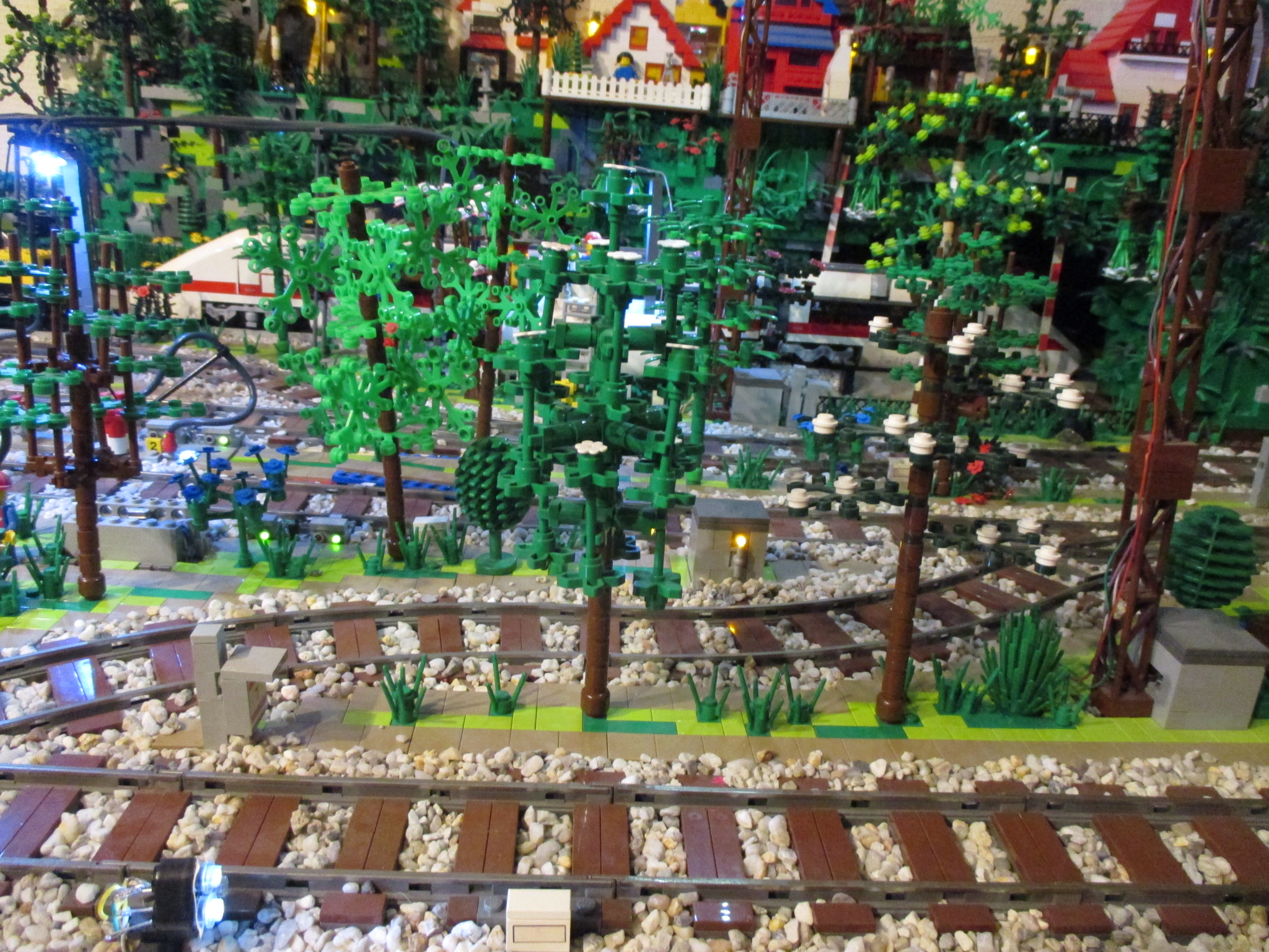 img_2625.jpg
