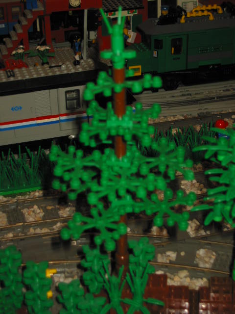 02.jpg